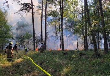 Waldbrand im Nationalpark Eifel gelöscht - Nach wie vor große Gefahr 