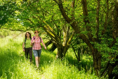 Wanderung Ketz_1.jpg