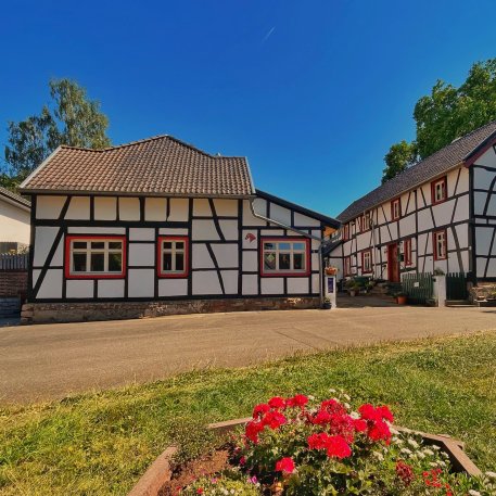 Wega quadratisch.jpeg