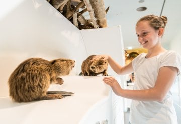 Wer findet den Schatz der „Wildnis(t)räume“?