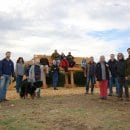 Wer nicht nur die Beine, sondern auch die Seele baumeln lassen möchte, kommt auf der spektakulären Sitzgelegenheit im Nationalpark Eifel auf seine Kosten.