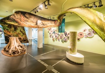 Wichtige Informationen für Ihren Besuch der "Wildnis(t)räume"