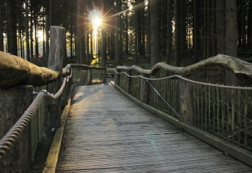 Wilder Weg wieder für Besucher geöffnet