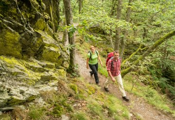Wildnis-Geschenke aus dem Nationalpark Eifel 