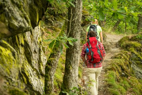 Wildnis-Trail_Dominik Ketz (2).jpg
