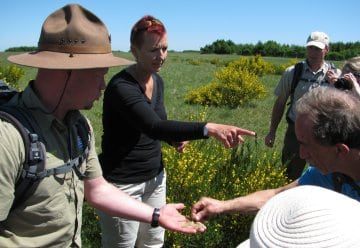 „Wildnis“ für Alle im Nationalpark Eifel