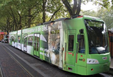 „Wildnisbahn“ wirbt für Nationalpark Eifel
