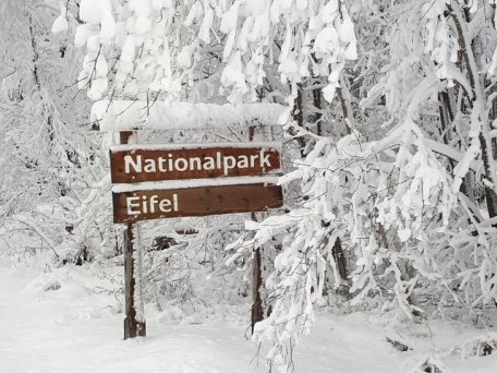 Winter im Nationalpark Eifel