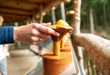 Wir machen die Natur für Menschen mit und ohne Behinderung erlebbar