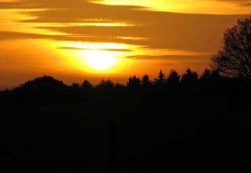 Wochenend-Tipp: Nachtwanderung im Nationalpark Eifel