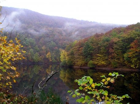 Zahlreiche Veranstaltungen machen in den nächsten Wochen den herbstlichen Nationalpark Eifel erlebbar. Bildautor: S. Wilden