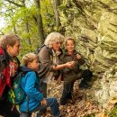 Zertifizierte Waldführerinnen und Waldführer leiten an Familientagen etwa dreistündige, besonders kindgerechte Touren.