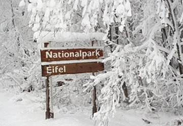 Zum Ski-Langlauf nach Hellenthal 