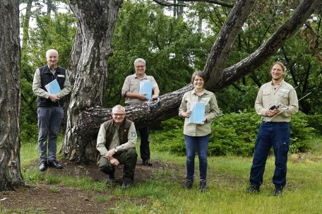 Zur Jahrespressekonferenz im Nationalpark-Zentrum Eifel präsentiert die Nationalparkverwaltung den druckfrischen Jahresbericht 2020 und gibt einen Ausblick auf die kommenden Monate.