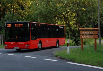 Zweiwöchige Sperrung der Kreisstraße 7 im Nationalpark Eifel